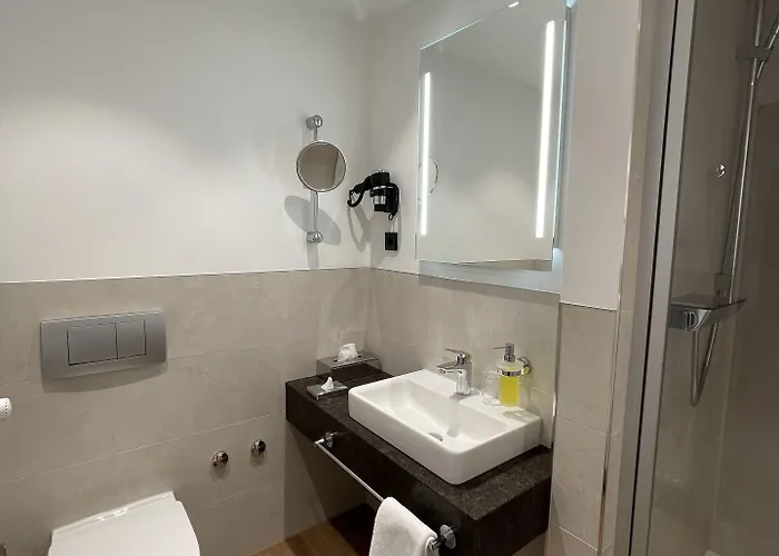 夏萨克森霍夫酒店 4*